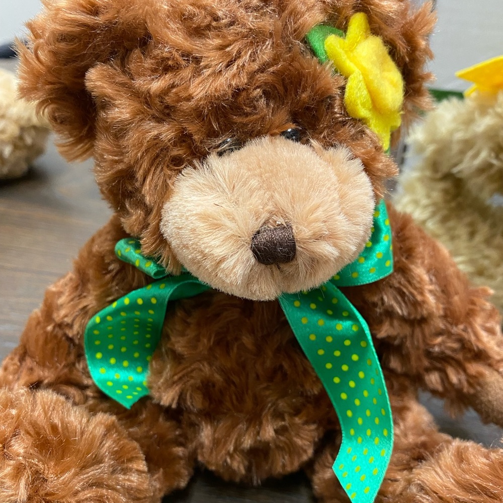 Collectible Boyd Bear